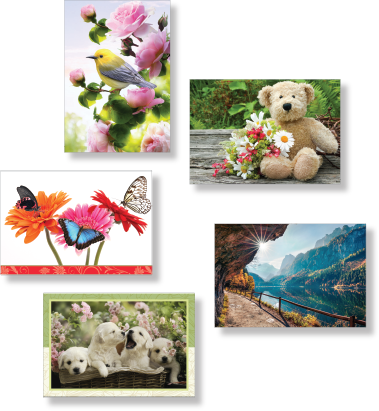 blank multi pack wholesale greeting cards