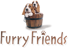 furry friend wholesale greeting cards
