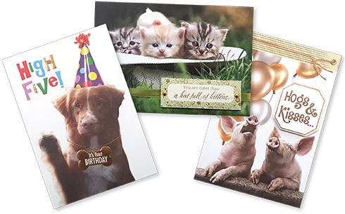 just fur you gold wholesale greeting cards
