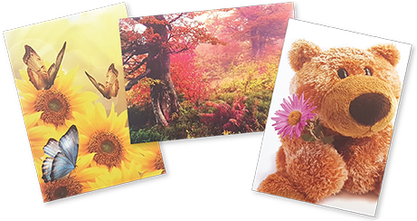blank wholesale greeting cards