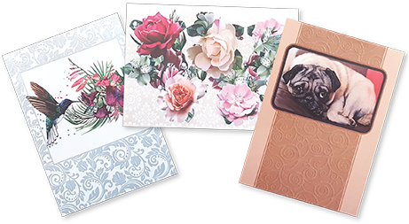 blank wholesale greeting cards